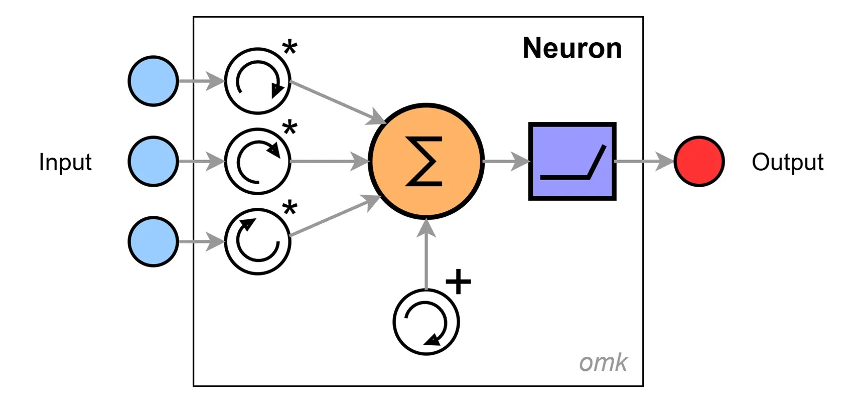 Neuron