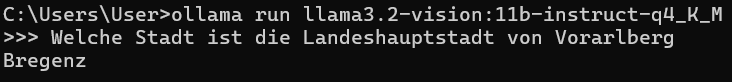 Ollama Modell starten und chatten